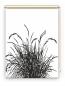 Preview: Rollo Reed24 black blanco, Rollo, Motivrollo, Rollo mit Druck, Fotorollo, bedrucktes Rollo, Fensterrollo,verdunkelndes Rollo, Sonnenschutz Rollo